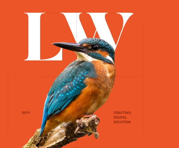 Roller-Coat Branding